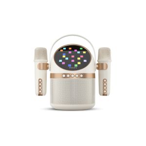 Philips Parlante Karaoke TAS2509